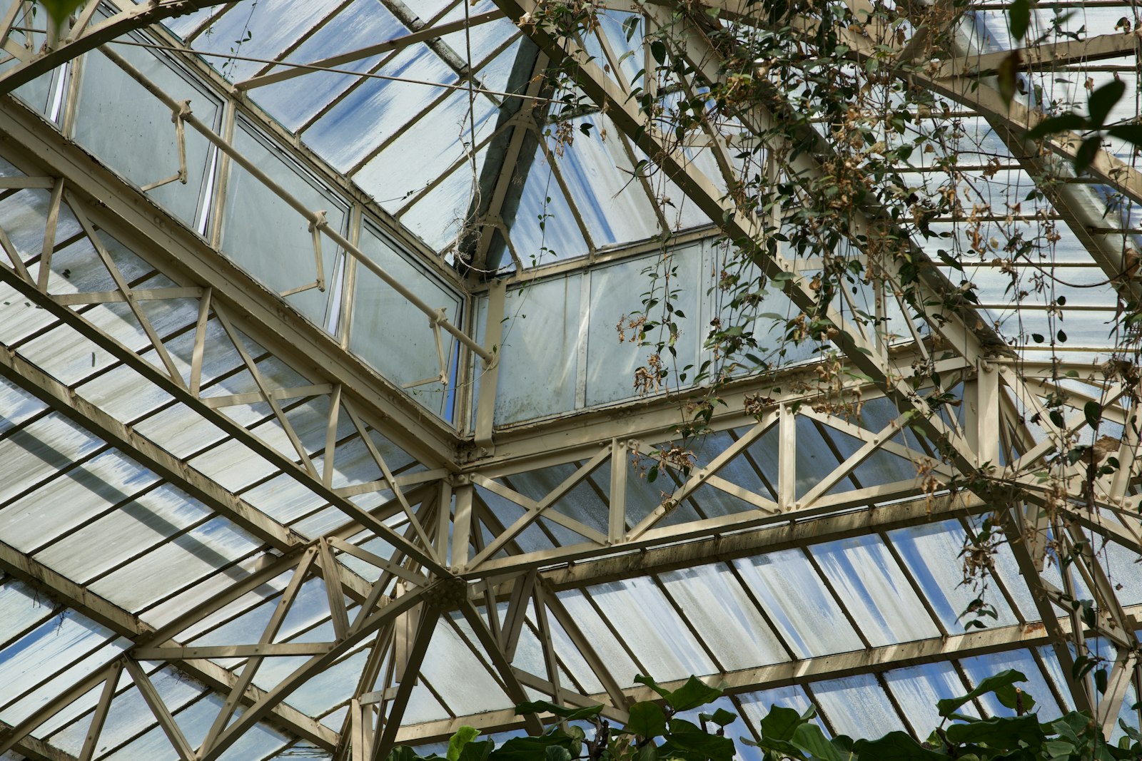 Glass conservatory roof structure seen from inside