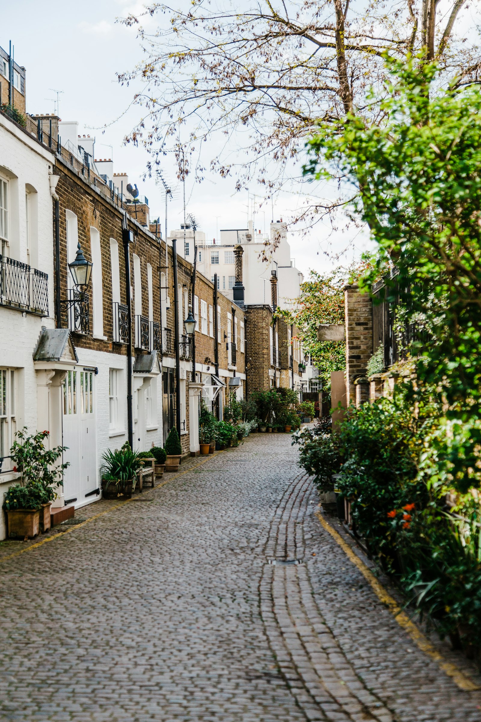 Terraced houses on a London mews street