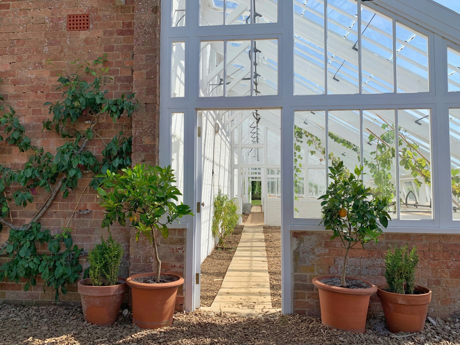 Bright glazed garden room filled with plants